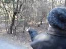 Feeding Chickadees on Sasparilla Trail - Kanata