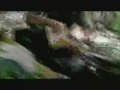 Bear Grylls Trail Mix Ad (Jungle)
