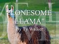 Lonesome Llama - Ty Walker