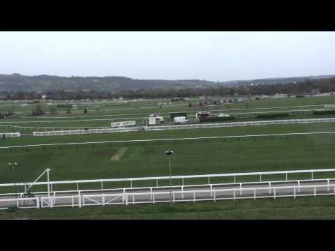 cheltenham races