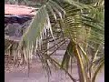 Agonda Beach 2