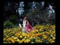  - MovieZen Video