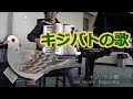 キジバトの歌/アコーディオン:長坂憲道