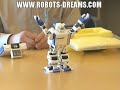 Takara/Tomy i-SOBOT Humanoid Robot
