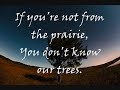 If You're Not From The Prairie-David Bouchard