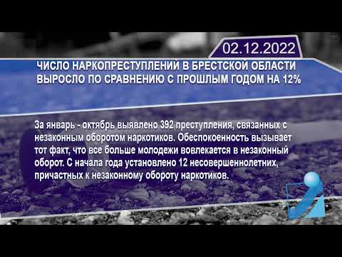 Новостная лента Телеканала Интекс 02.12.22.