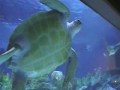 Mila @ Aquaria KLCC