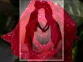 dj cammy - i wanna grow old with you