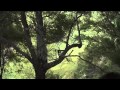 MAKAPUA DIARY EPISODE 1
