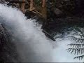SMDEP Mt. Rainer Hike