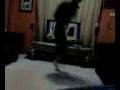 aaa? video