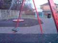 edge diving moving swing