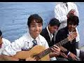 cover delfín: torres gemelas