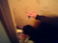 MOV00116.3GP