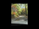 NA_georgia_oct08