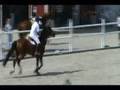 Show Jumping - Alvøen Cup