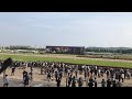 2019年5月12日 ヴィクトリアマイル ライブ