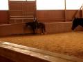 It's me horse riding on 7.12.2008....
