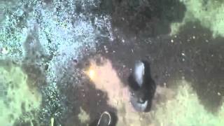 مخيم الحسينية مكان وقوع مجزرة عائلة أبو راس الفلسطينية