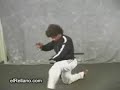 La tecnica del mono borracho