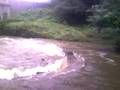 Woody 'Tiddles' at the dropping well milltown