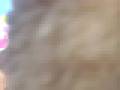 videos de fun radio Lille 6-09-2008 (6)
