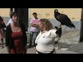 video_thumb