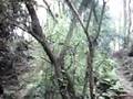 videos de Danbury Common, Hip Jump