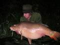 fish pictures
