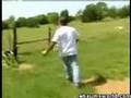 fainting goats