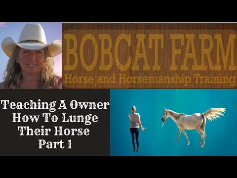 how to properly lunge a horse