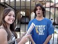 silvio santos e a internet