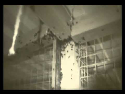 Youtube-videoupotus, klikkaa nähdäksesi!