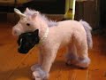 georgia unicorn 003.avi georgia unicorn 003.avi
