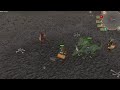 The Noob (Runescape)