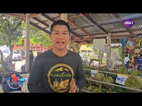 อุทัยธานี - เปิดสวนทุเรียนท่องเที่ยวเชิงเกษตร NBT ทั่วไทย วันที่ 23 มิถุนายน 2568
