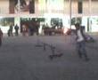 almaya skate