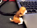 USB Humping Dogs in Action USB Humping Dogs in Action