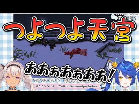動画