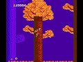 this is a weird old ninja game for the nes. other than the enemies having the most random projectiles of all time, it's really fun! 