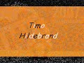 Timo Hildebrand