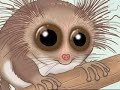 Xeko - Hairy Dwarf Lemur Talks! Xeko - Hairy Dwarf Lemur Talks!