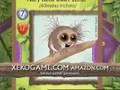 Xeko - Hairy Dwarf Lemur Talks!