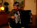 Novelty Accordion by Robin