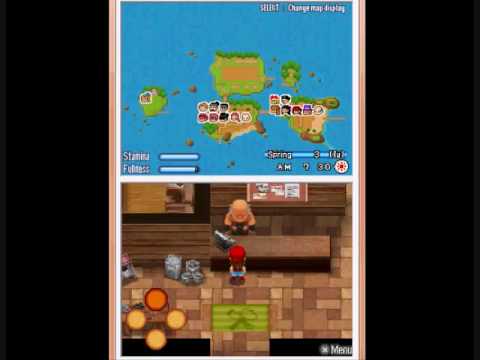 how to equip wonderfuls harvest moon