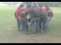 videos de pulpo al sml umk