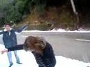 Locos en la nieve: Sóller Locos en la nieve: Sóller