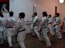 Kata Shisochin - www.gojuryu.com.ar Kata Shisochin - www.gojuryu.com.ar