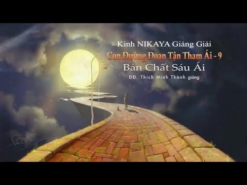 Kinh NIKAYA Giảng Giải - Con Đường Đoạn Tận Tham Ái 9 - Bản Chất Sáu Ái