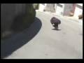 videos de Project Street Vol.1